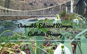 VEM Newsletter 3 ~ 2025-2026 ~ 16 Jan 2026